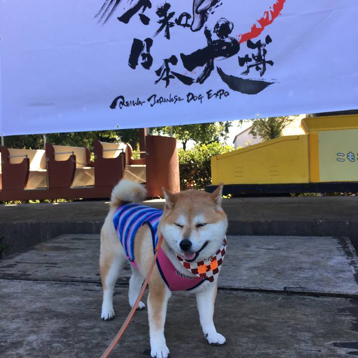 796dd3cb 3294 4f4c b51b 422789f405fa 1573917585790