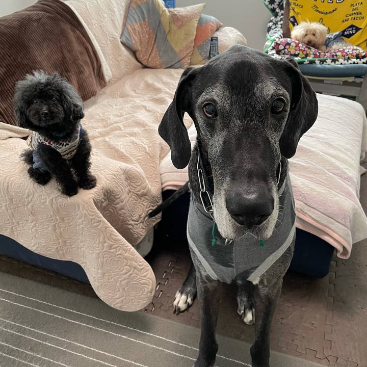 796e3c4c c9ba 454f 80ea cd67353e1d51 1617921380914