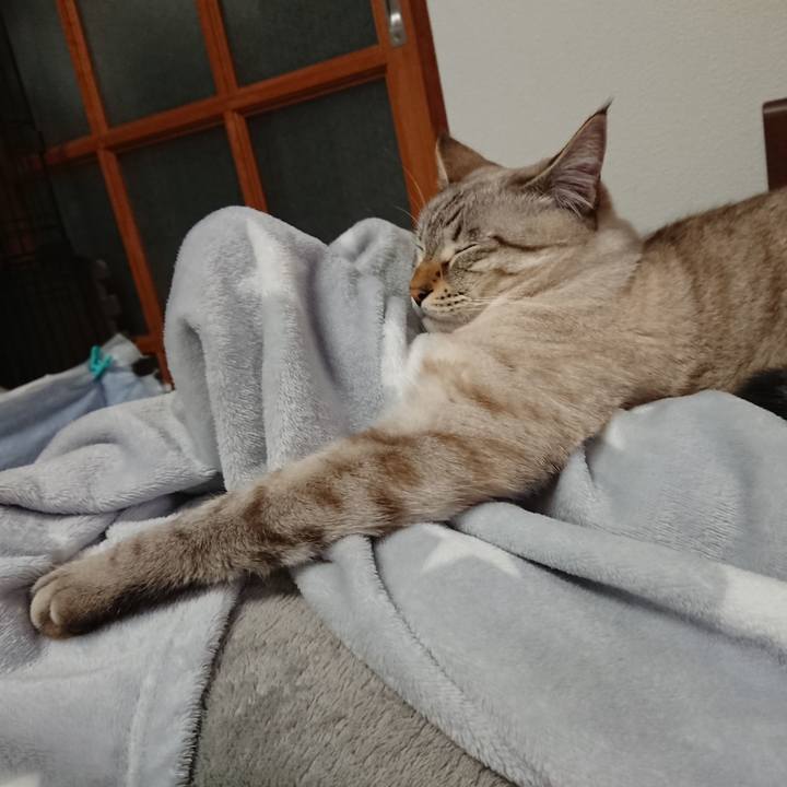 796e4cd6 2151 4ee5 89d9 032826ee2880 1573648510329