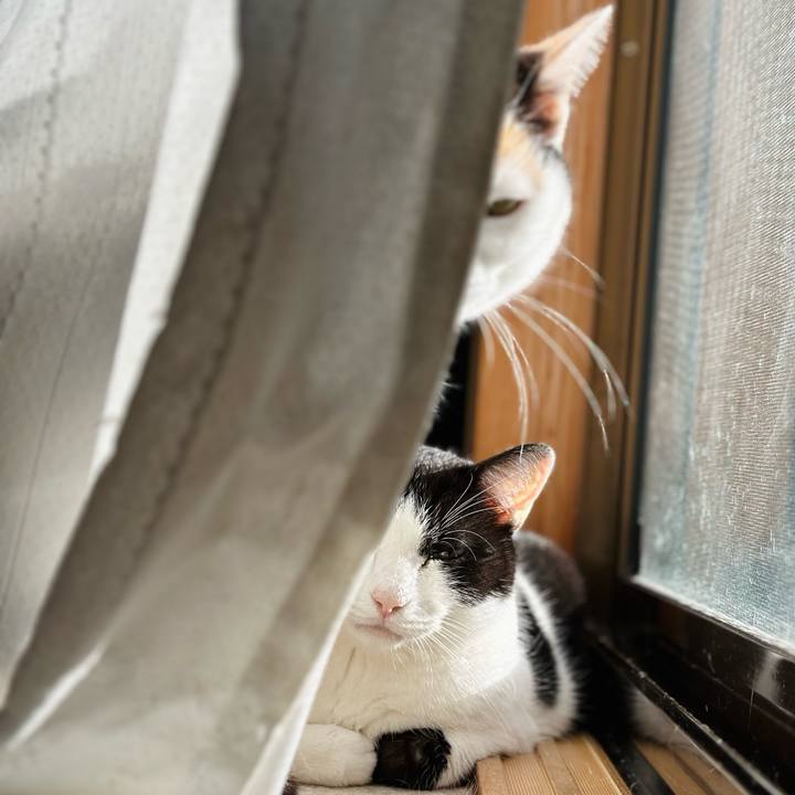 796e6750 7622 45e4 b35a c28811edf6d2 1707356972259