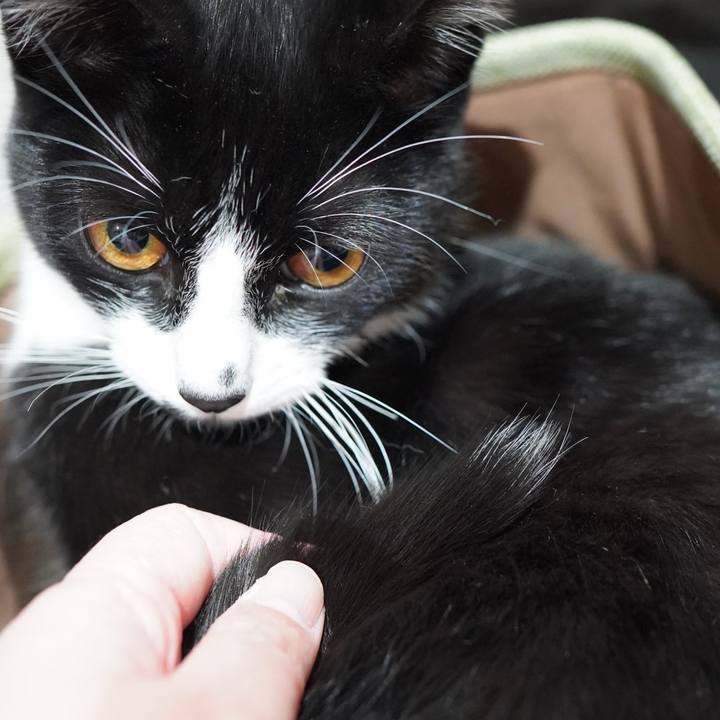 796e9c68 54cf 4350 a687 ed788810a89a 1583793586839