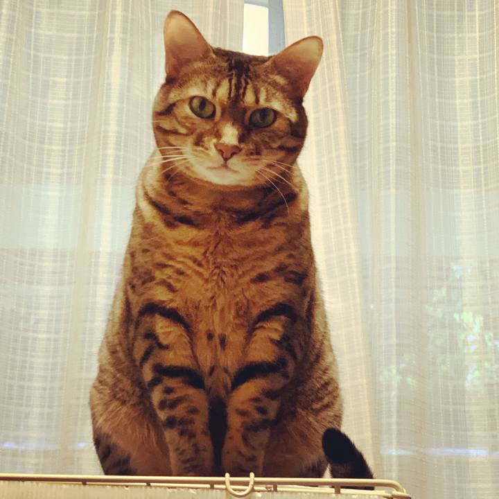 796eab06 3e7a 4089 a055 5567b082a28e 1587677723043