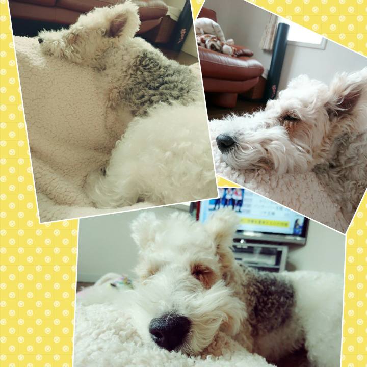 796eb015 1449 44ec 9eb9 42119af33d96 1519188595235