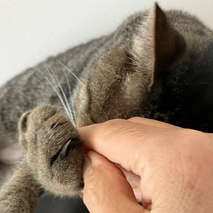 796ecd85 85b7 4da0 bffb dad498125329 1757917879535