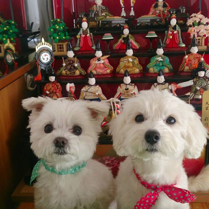 796efb30 6bc0 4200 9c79 439be1827bb4 1519876997258