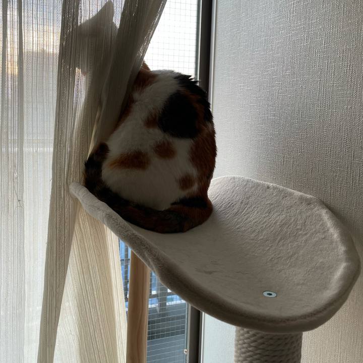 796f01d5 cadf 44ac 85a7 57ef1324f058 1614506114298