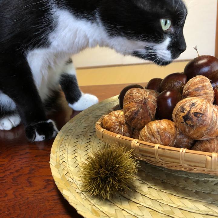 796f5007 d4d4 4db4 89a8 f8c2da983126 1538352009888