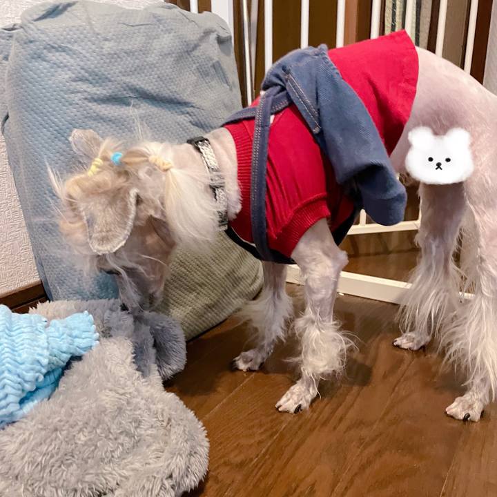 796f5197 026f 4f2a 8418 628ea422cd50 1764926796678