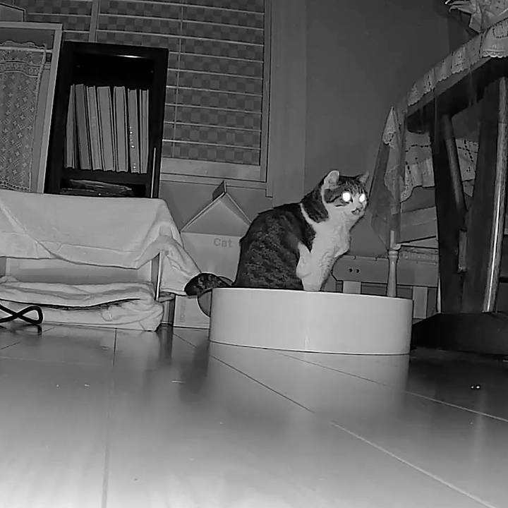 796f60dc 12ae 4e22 8bb9 96bcd4075919 1765866898661