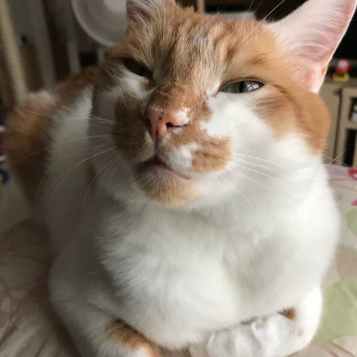 796f8634 b090 45ef a215 bd38cb2b1c84 1528969597106