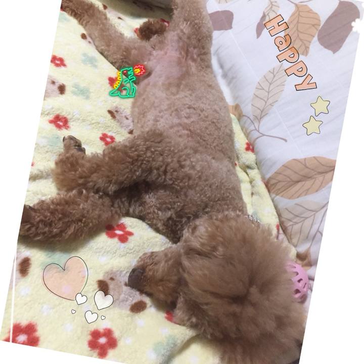 796fec04 5f35 4b2c 854c cfe216ea1ad3 1533046118465