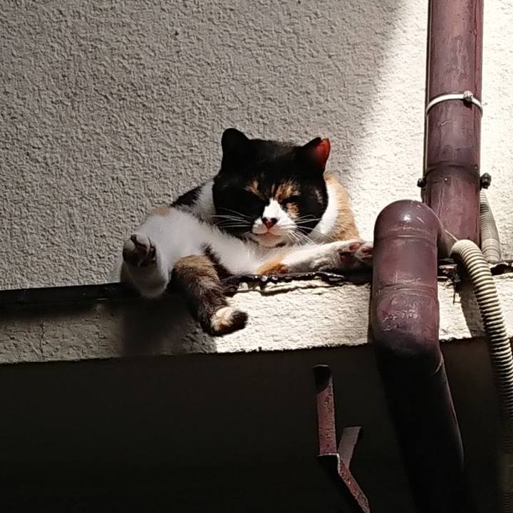 79701902 6c04 4f95 beeb 62e0e72d5657 1654572924732