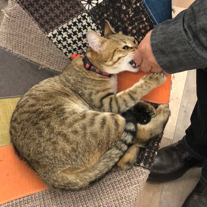 7970227e b278 4001 a3a2 d9936c9f4b5c 1618390923634