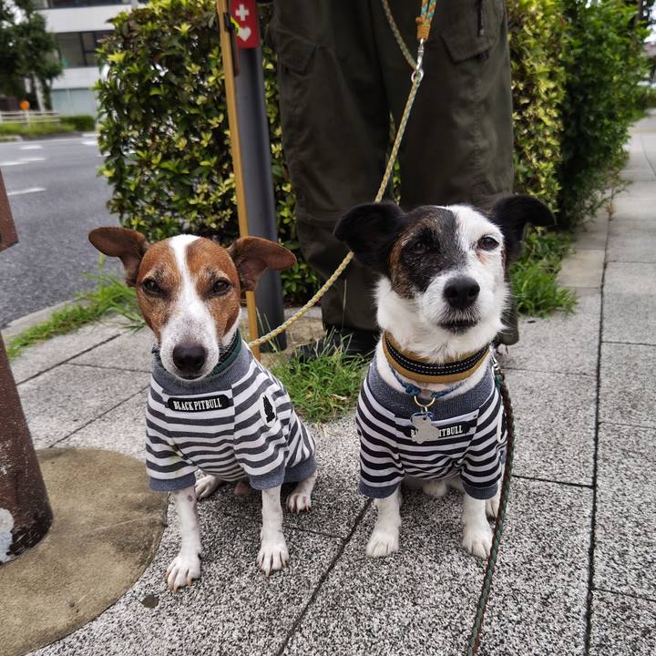 79702940 fb7d 4fee 871a 7271d3e2f80a 1724018739791