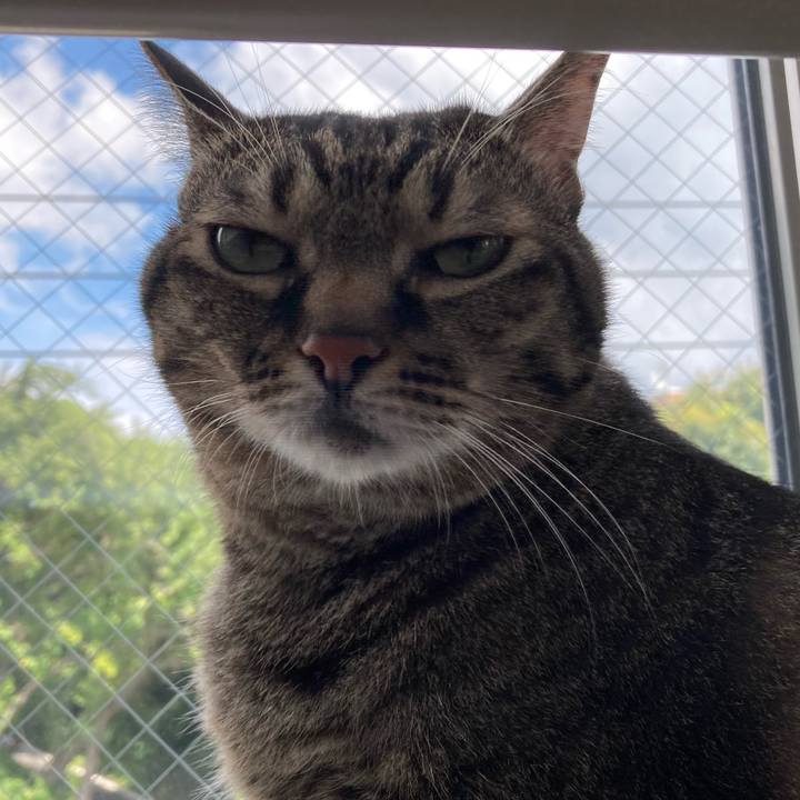 79707117 91f9 4fc9 a9ae 5ebe13d30e8d 1724548442425