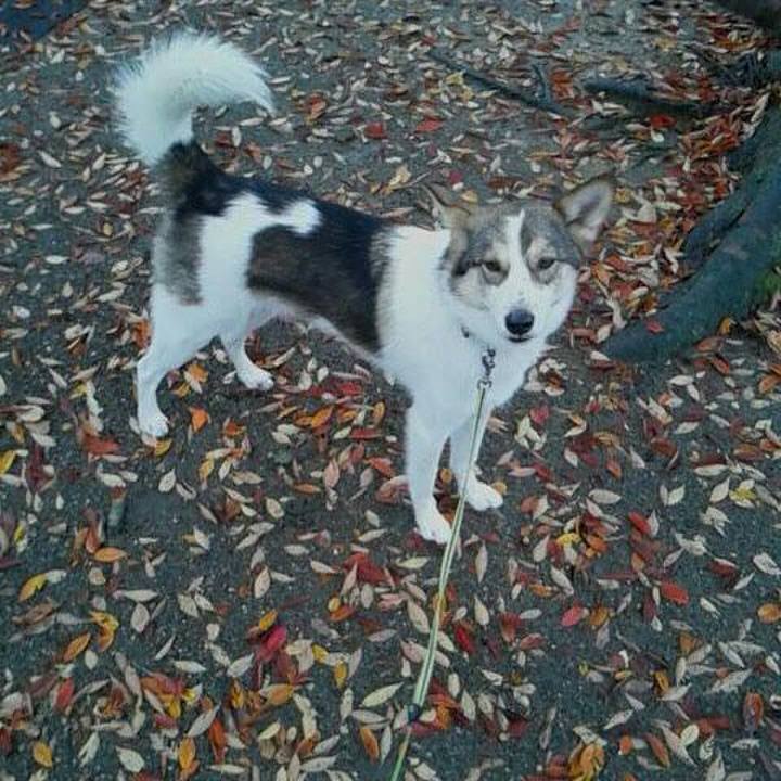 7970a0a4 e29e 487e 968c 70cb315872a6 1541497604247