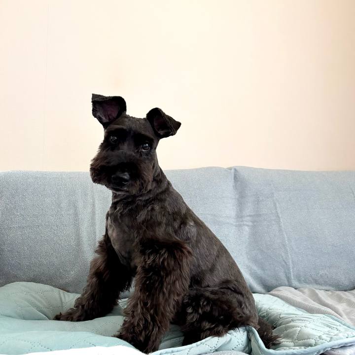 7970c7b0 c2fb 4ead 81b4 f18af5582975 1749598708138