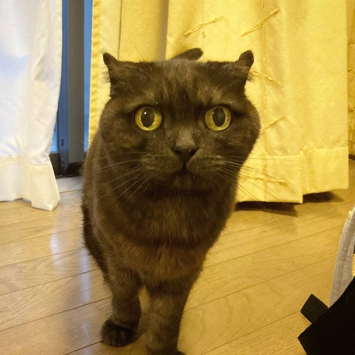 7970fbc6 adca 42b6 bfc5 567d39e6ecd9 1615569285406