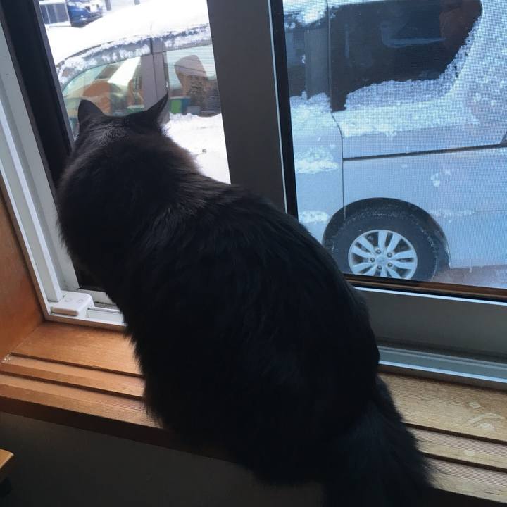 79710bac 8c13 4465 8d70 6842d8ba6a00 1544834176717