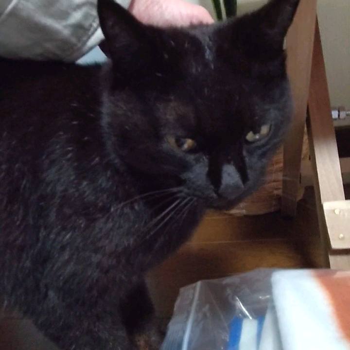 79712b67 b807 47d0 b324 0d36caf053a6 1651389075015