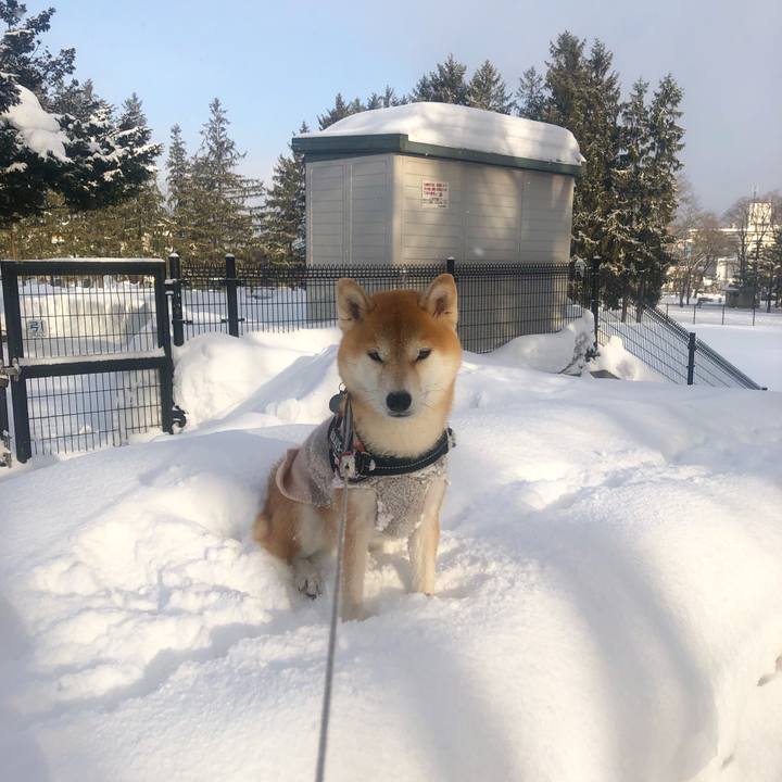 797134bb 67f3 4367 9cb6 0aa27178e855 1550104470378