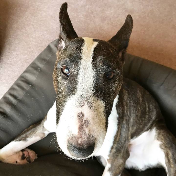 79713ff9 5fb9 4dd5 b2a2 01834644adb8 1522133447807