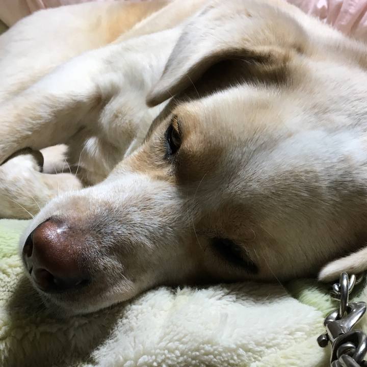 79718ff5 aaf5 433f 9899 511fe5455232 1515505562893