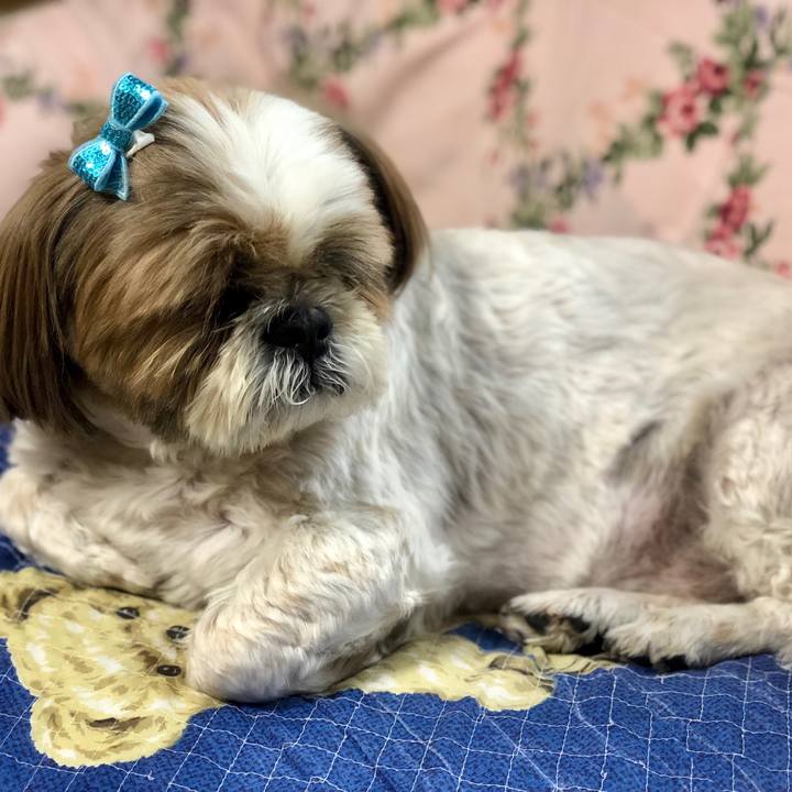 79719fb6 2418 4754 a0d8 7529070bb5a6 1528003318526