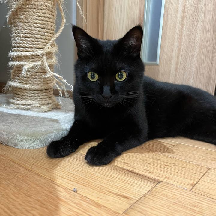 7971b5dd fde1 44d3 8b41 56e02fc3f25b 1691624507560