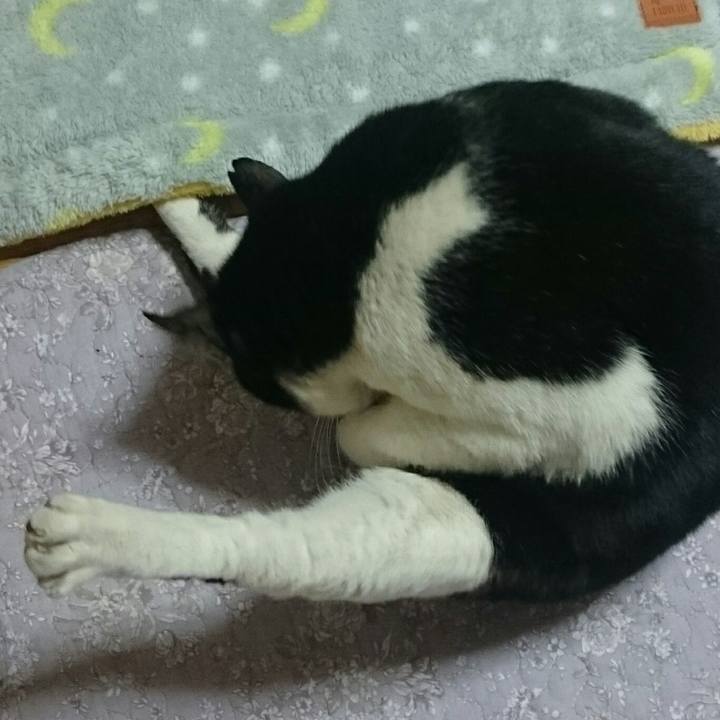 7971ef50 d014 4a1f 9d98 a53e53b474c8 1513655196173