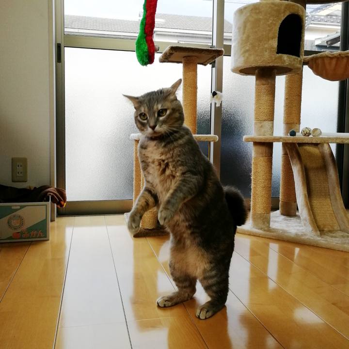 79720fef 6fe8 476b b9e0 f5a0baa84bd2 1552513548216