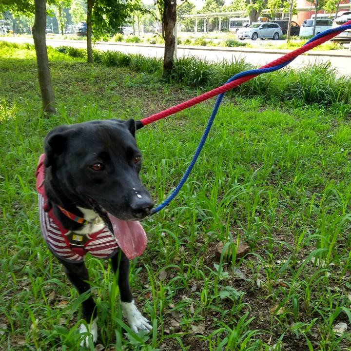 79721ece 0061 4517 b323 7b7119de5bd9 1597361248674