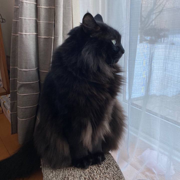 797238b9 fdf4 48a5 b8be ab8f39c5756a 1579325198939