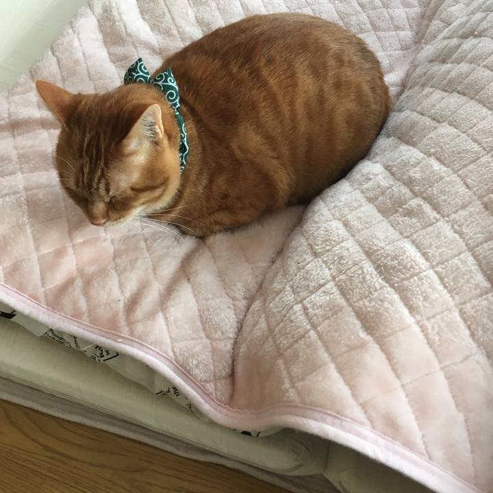 797255ec 057b 4f1c af85 9f6a4aa8e789 1545615409323