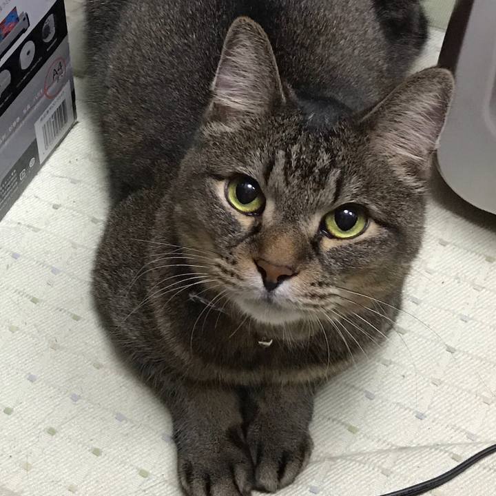 797271ba 5b3a 4f40 be6b bf1a01c0ac8b 1562776310268