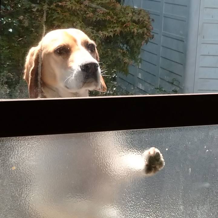 7972940e 70e1 4a7d a3e3 c15c8e235d5a 1587779239932