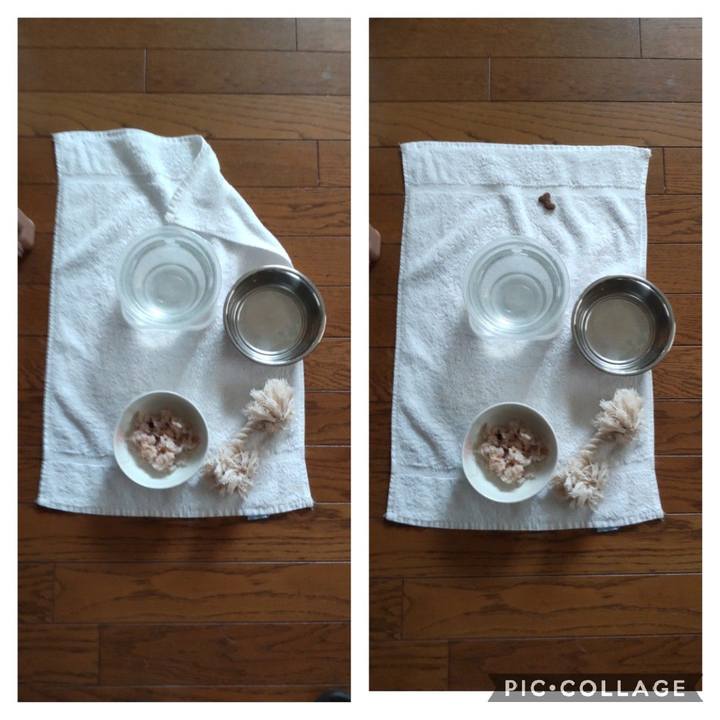 7972988e 2f1a 4474 b4d6 71dea9eba1ee 1658706501344