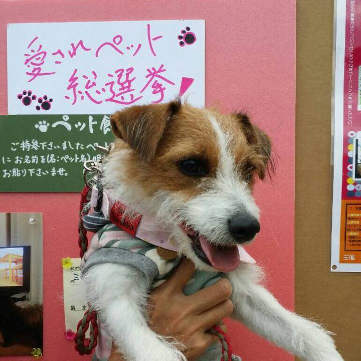 7972b735 f4dd 46bf aedb 0f4075a11e1c 1540699180274