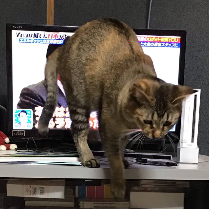 79732fa0 b07d 40c4 bbf8 77ce28491f96 1586775577908