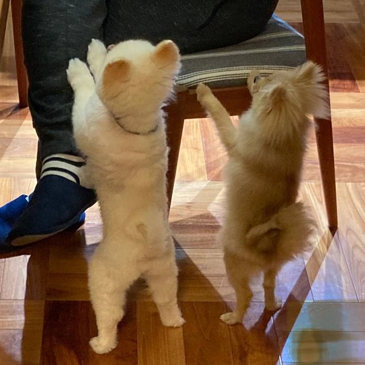 79734221 a94a 4e13 9ecd d76488483ec3 1641889902472