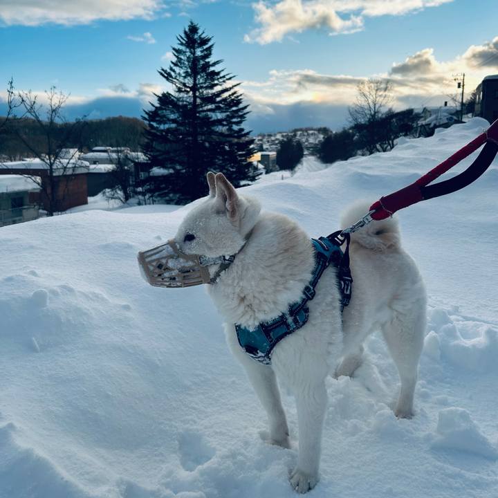 797388eb b36a 4cb5 a0de 9bf1d6651ee3 1740091817560