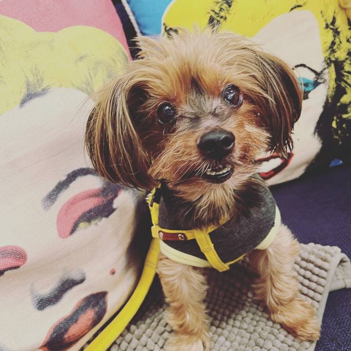 79738e57 d27a 48dc 9580 19ef75ee7481 1697005854926