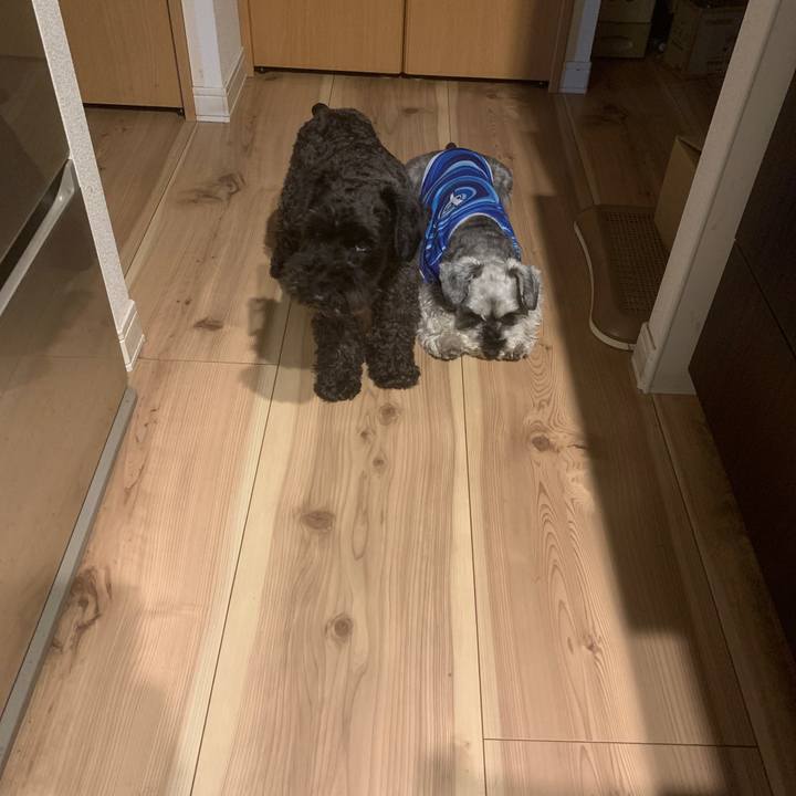 7973bb3f fc89 431d 8c93 fddd184ae17d 1655885701229