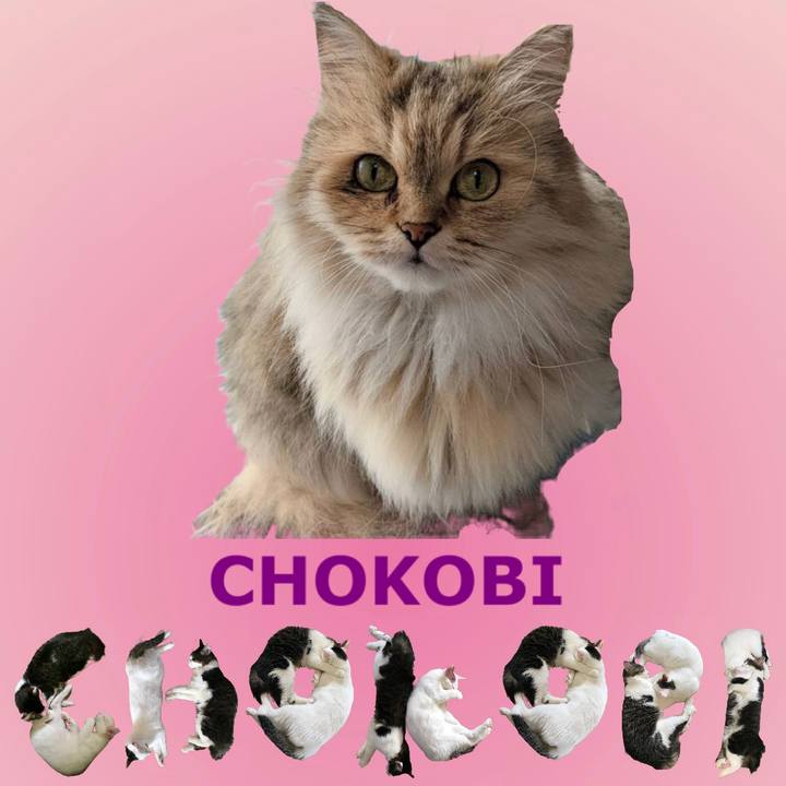 79740205 d74e 4f04 a296 073b5a63f848 1669125152591