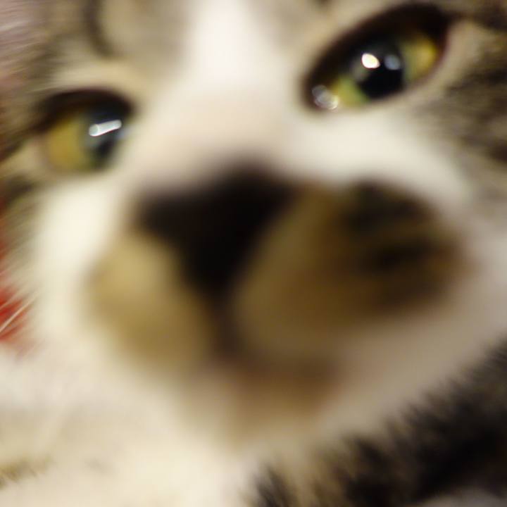 79747b14 2555 4d13 b564 374cfc166f0f 1758864590185