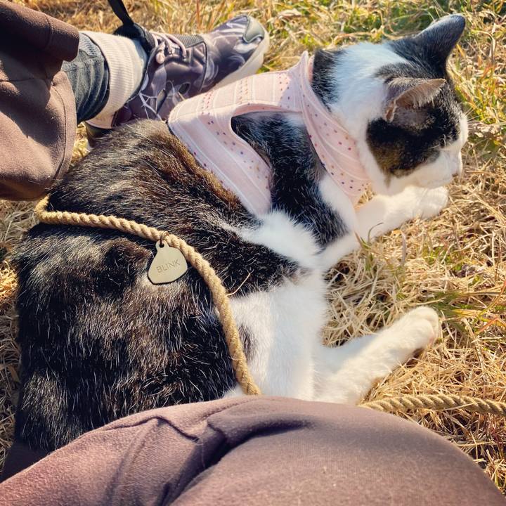 79747cad 6e43 4221 850e 0c96dae63fa9 1612685799045