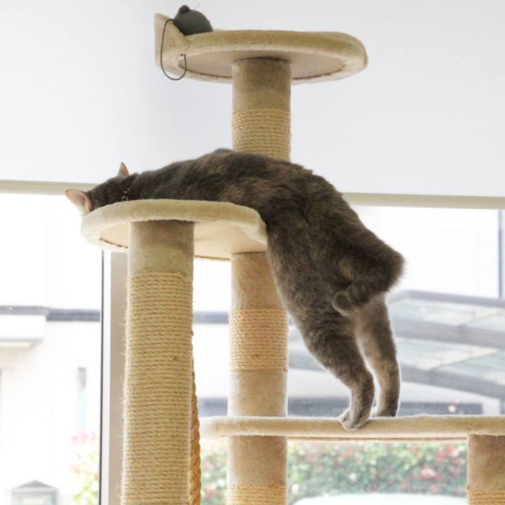 79749e36 2c65 40f6 b0d7 a21955b79390 1590735599865