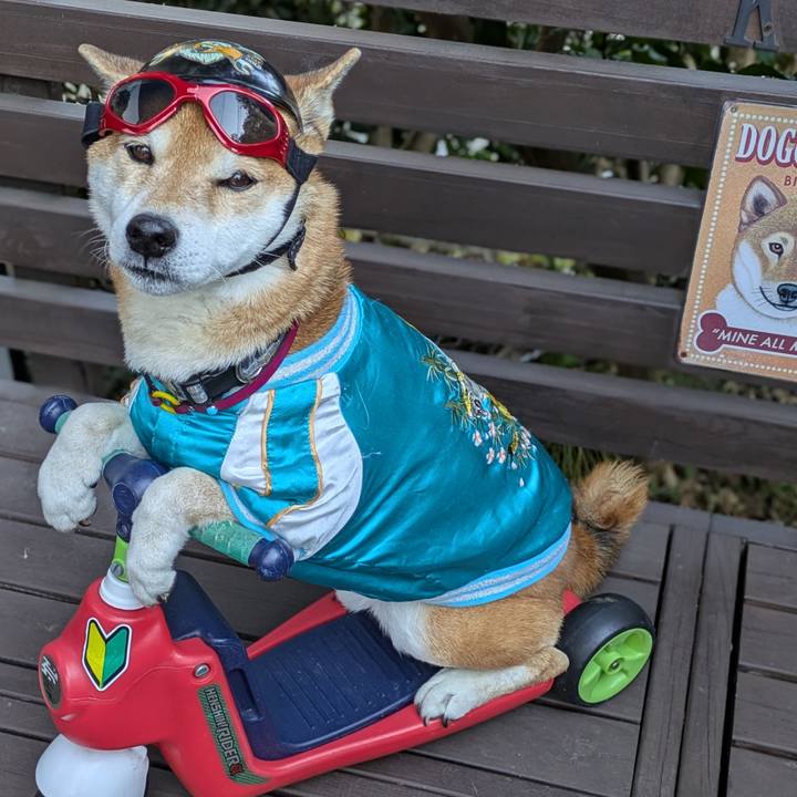 7974a37d 1253 4031 bbda f2f9ce08002c 1736432282658