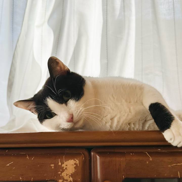 7974a82d 449b 459c 987d e3dbb2f3e8db 1674177083262