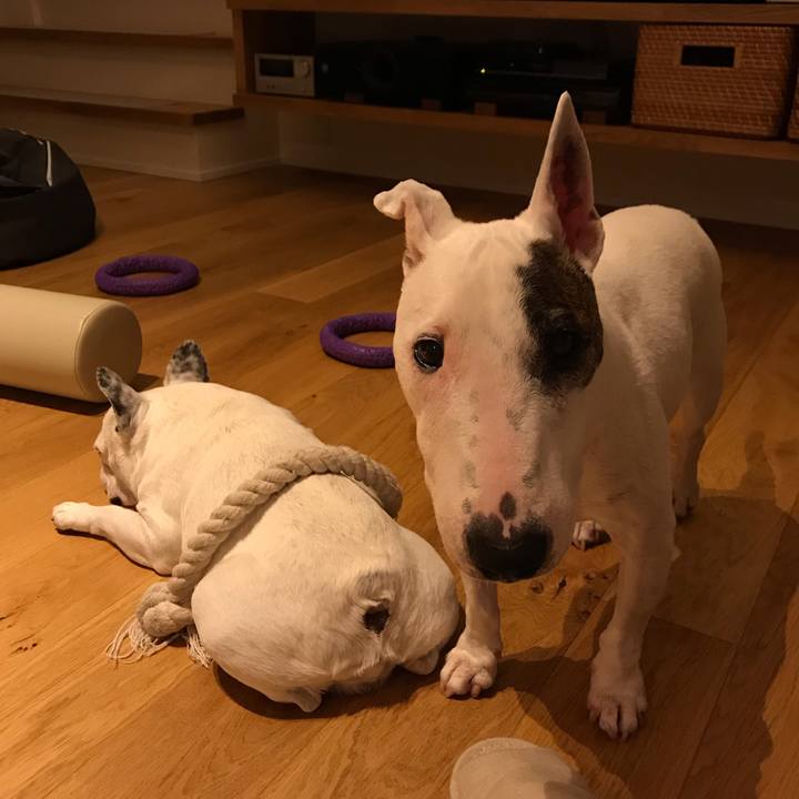 7974cbf2 0455 4b22 9de8 831dd0f9038d 1597491744968